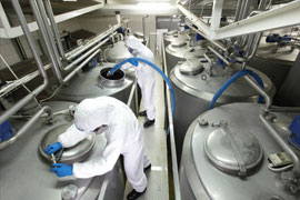 ATTESTATO - CORSO R.S.P.P. DATORE DI LAVORO - SOSTANZE PERICOLOSE, AGENTI CANCEROGENI E MUTAGENI